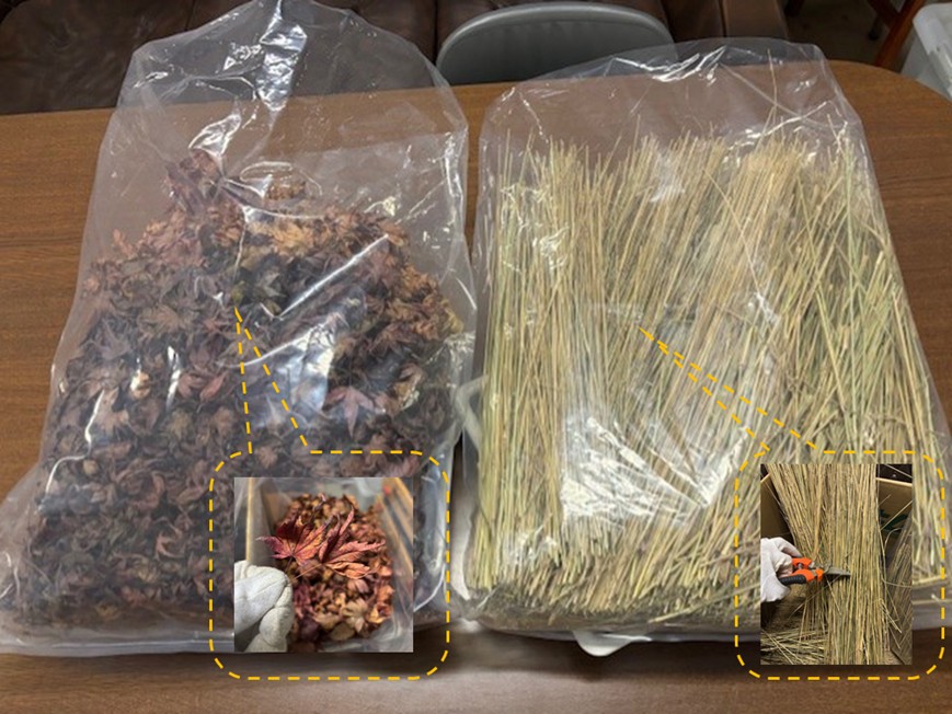 環境科学コース２年生学生実験「未利用の雑草を資源として扱い，循環型の材料をつくる」